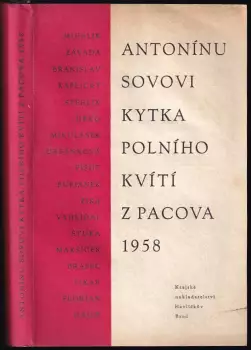 Název varianty