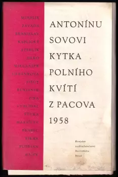 Název varianty