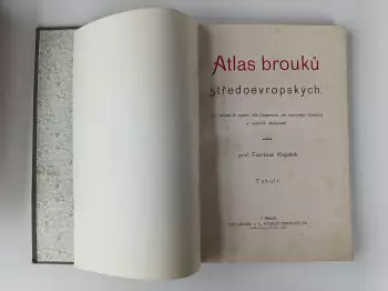 Název obrázku