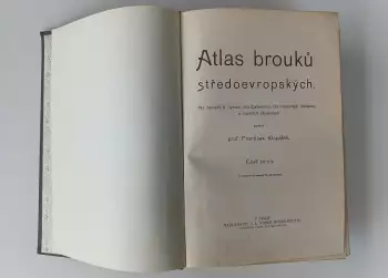 Název obrázku