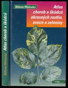 Název varianty