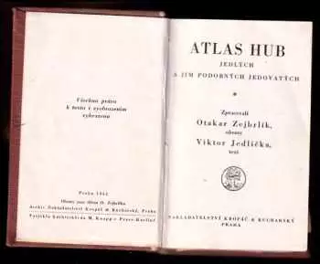 Název obrázku
