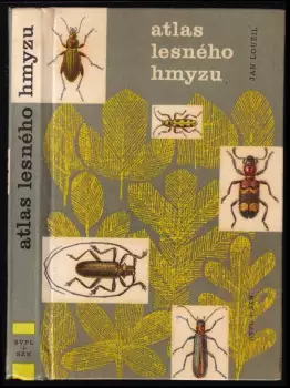 Název obrázku