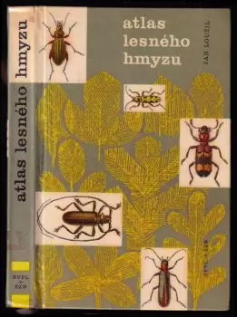 Název obrázku