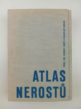 Název varianty