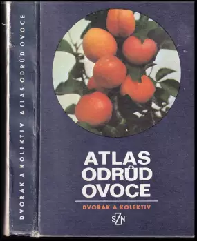 Název varianty