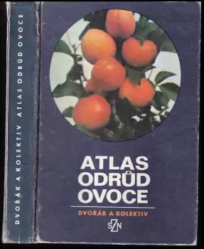 Název varianty