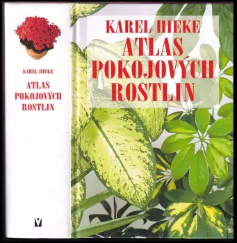 Název obrázku