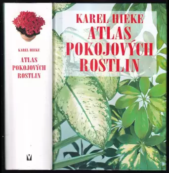 Název varianty