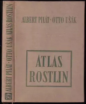 Název varianty