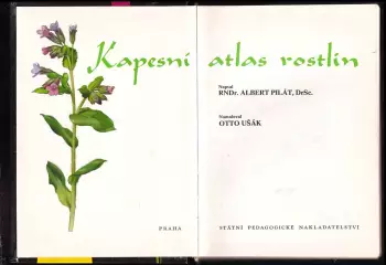 Název obrázku