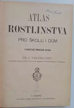 Název obrázku