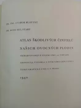 Název obrázku