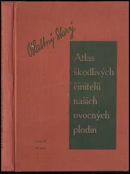 Název obrázku