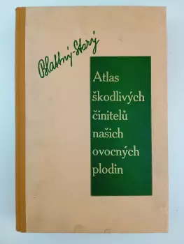Název obrázku