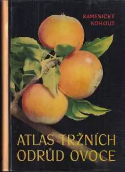 Název varianty