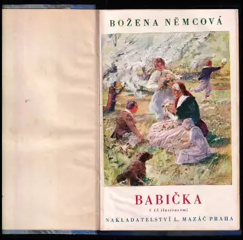Název obrázku