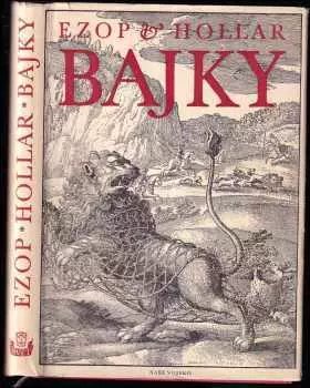 Název obrázku