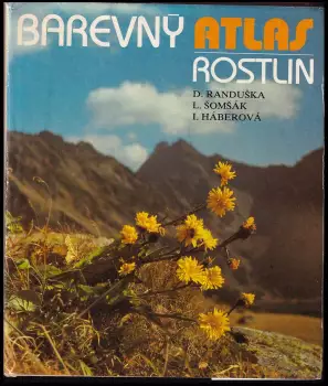 Název varianty