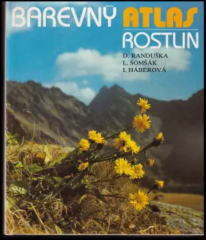 Název varianty