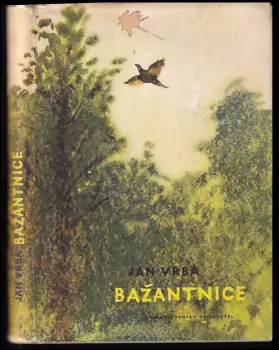 Název varianty