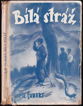 Název obrázku