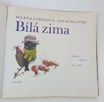 Název obrázku