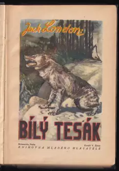 Název obrázku