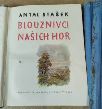 Název obrázku