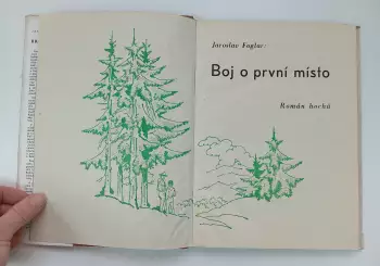 Název obrázku