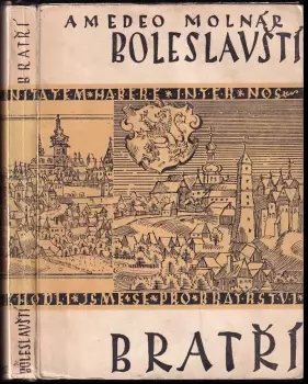Název obrázku
