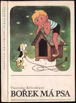 Název varianty