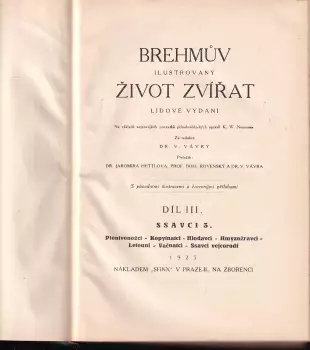 Název obrázku