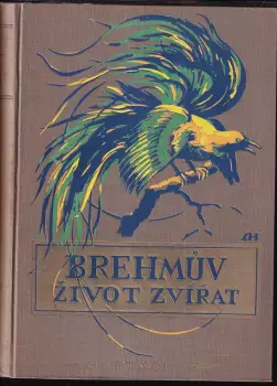 Název obrázku