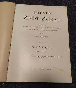 Název obrázku