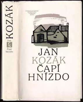 Název varianty