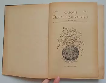 Název obrázku