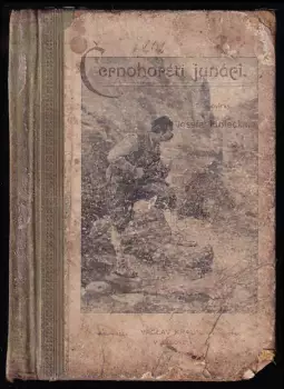Název obrázku