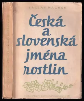 Název obrázku