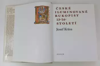 Název obrázku