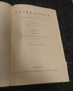 Název obrázku