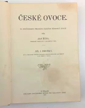 Název obrázku