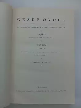 Název obrázku