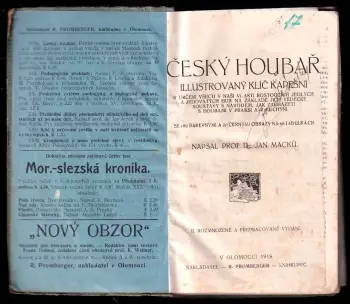 Název obrázku