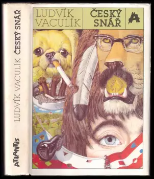 Název varianty