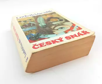 Název obrázku