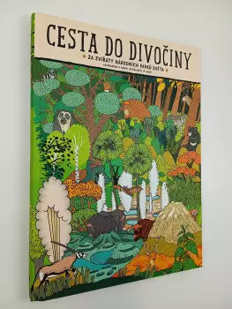 Název varianty