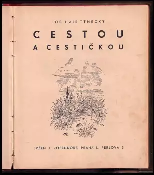 Název obrázku
