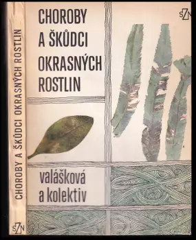 Název varianty