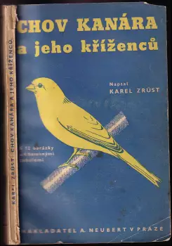 Název varianty